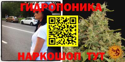индика Краснокаменск