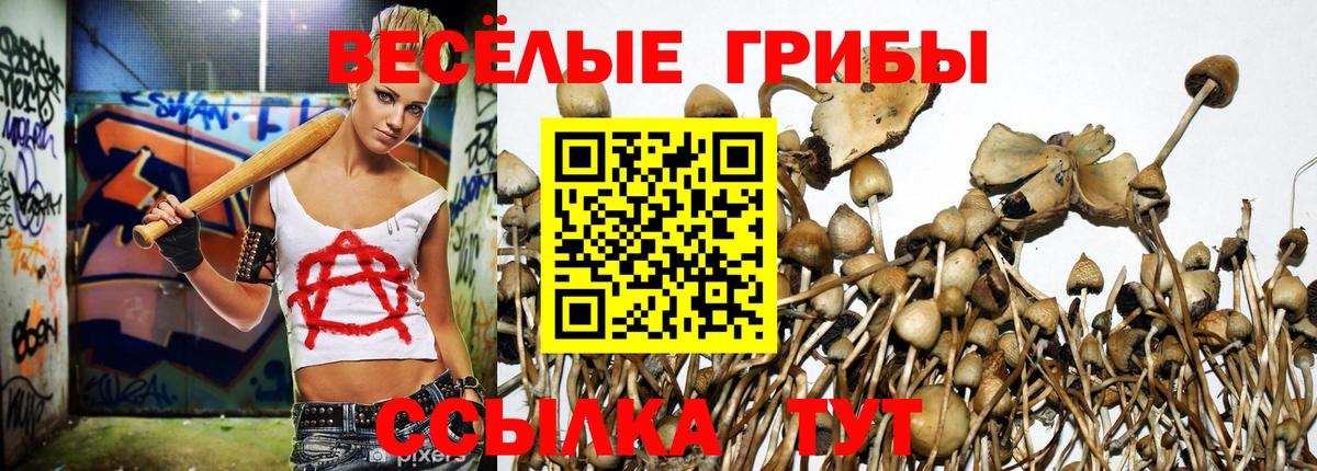 Галлюциногенные грибы ЛСД Камень-на-Оби