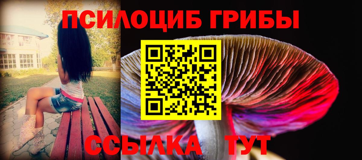 Камень-на-Оби  Галлюциногенные грибы MAGIC MUSHROOMS  Вход с VPN 
