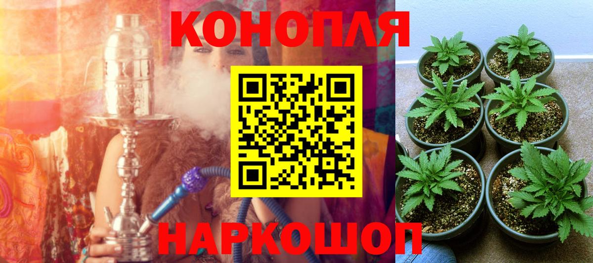 Каннабис план Камень-на-Оби